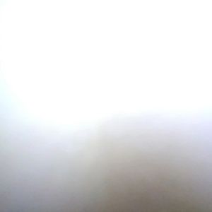 Meet your Posher, Phillip